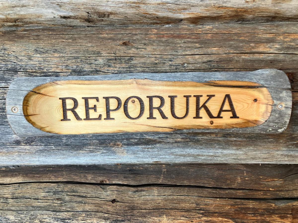Reporuka Apartment